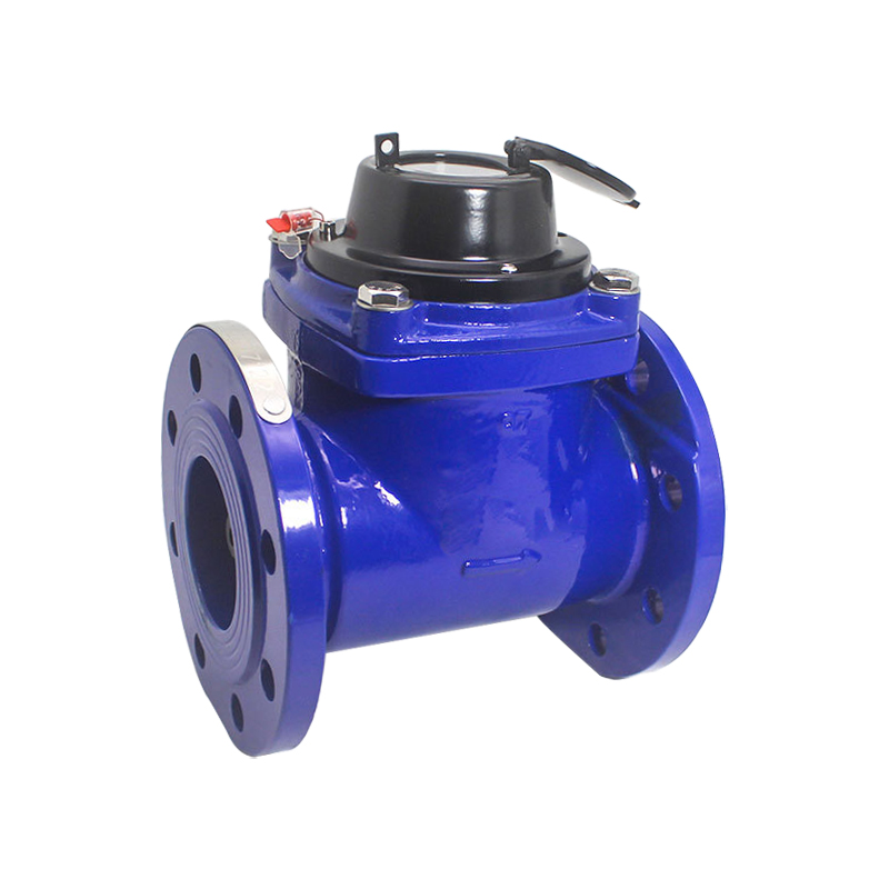 Water meter 